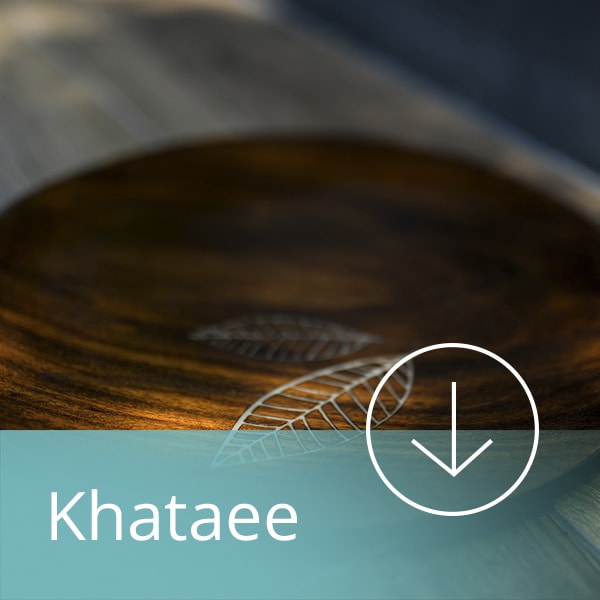 KhataeeM